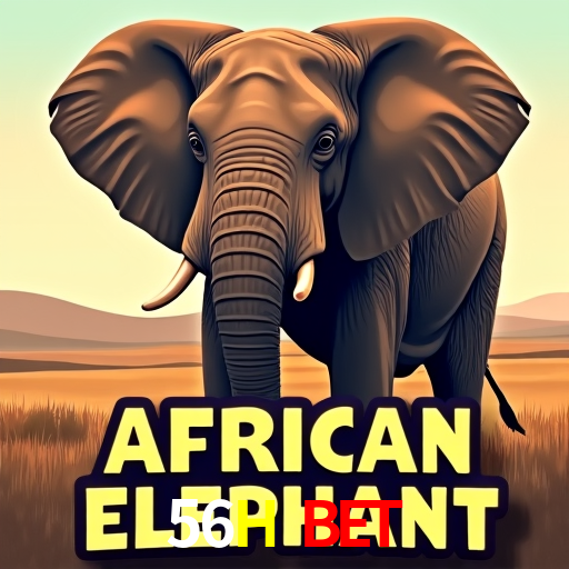 Recursos de Bônus 56H Bet